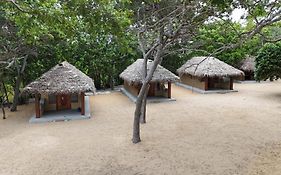 Peanut Farm Surf And Wild Resort - Arugambay